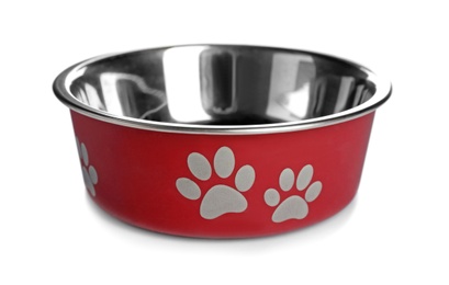 Photo of Cat bowl on white background. Pet care