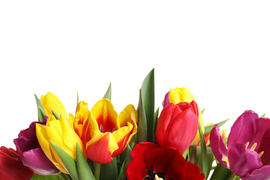 Beautiful bright spring tulips on white background