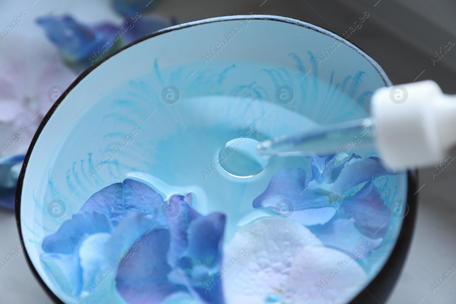 Photo of Dripping essential oil from pipette into bowl with water and flowers, closeup