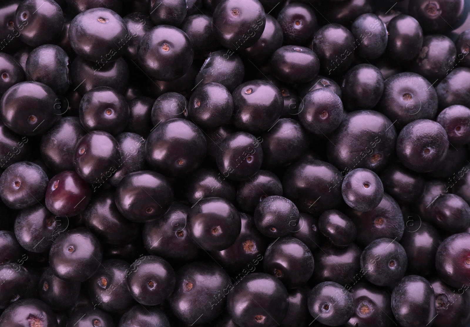 Photo of Fresh ripe acai berries as background, closeup