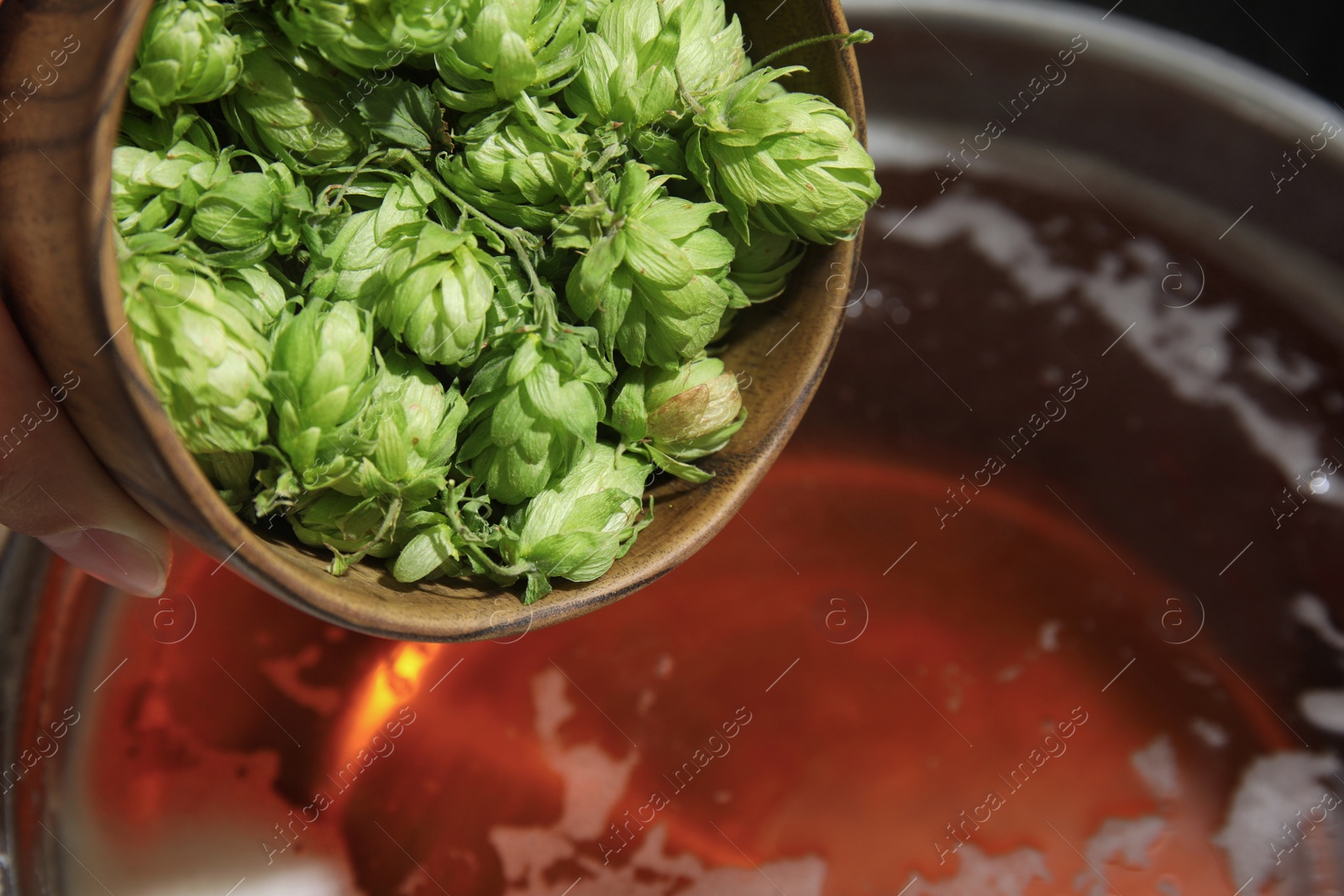 Photo of Adding fresh green hops to beer wort in pot, closeup