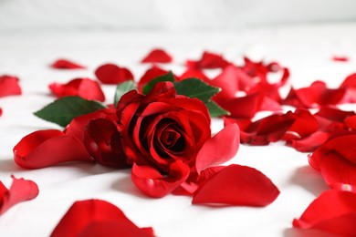 Photo of Honeymoon. Red rose and petals on bed, closeup