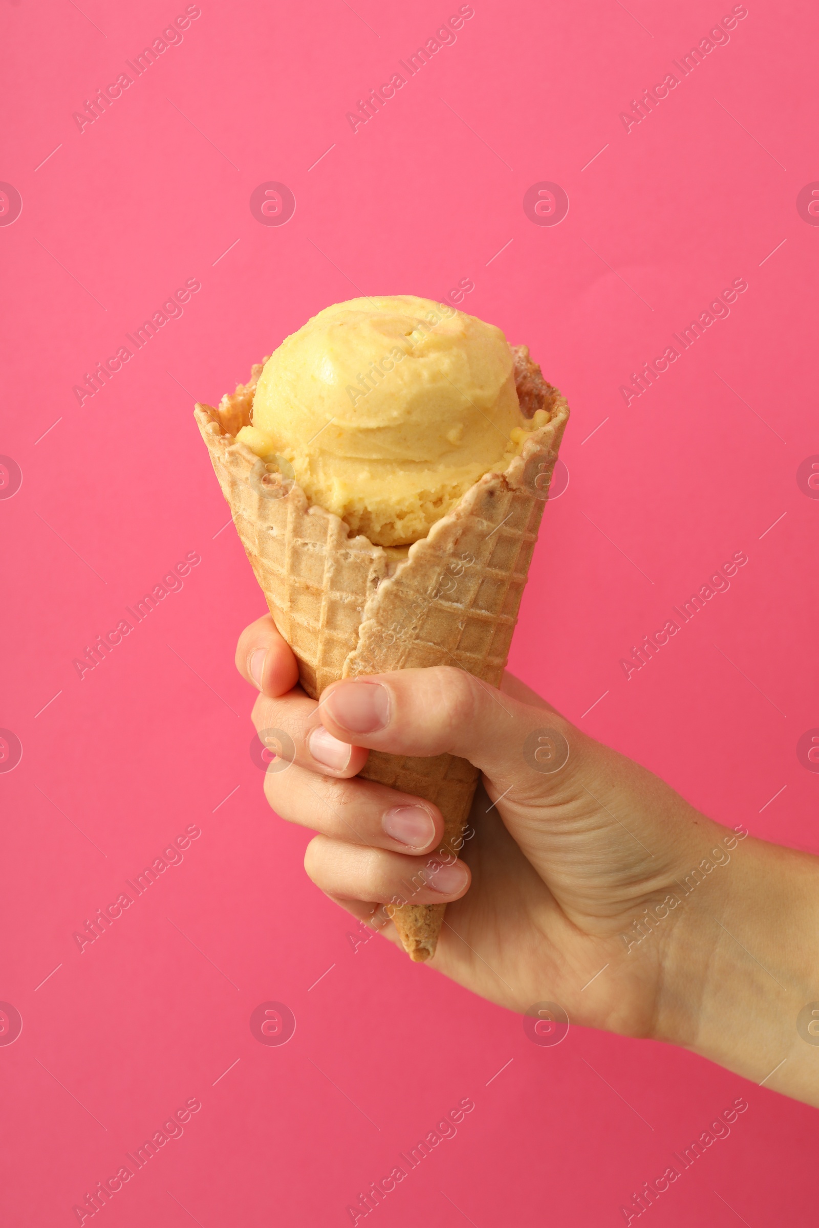 Photo of Woman holding waffle cone with delicious yellow ice cream on pink background, closeup