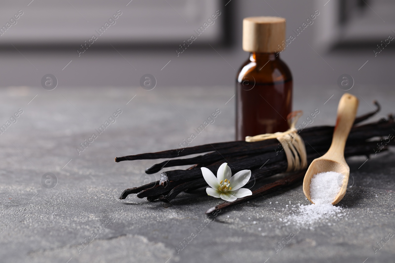 Photo of Spoon with sugar, flower, vanilla pods and bottle of essential oil on grey textured table, closeup. Space for text