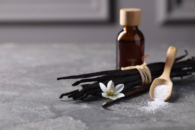 Photo of Spoon with sugar, flower, vanilla pods and bottle of essential oil on grey textured table, closeup. Space for text