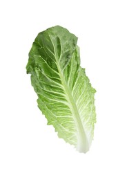 Fresh leaf of green romaine lettuce isolated on white