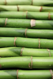 Photo of Pieces of beautiful wet green bamboo stems as background, closeup