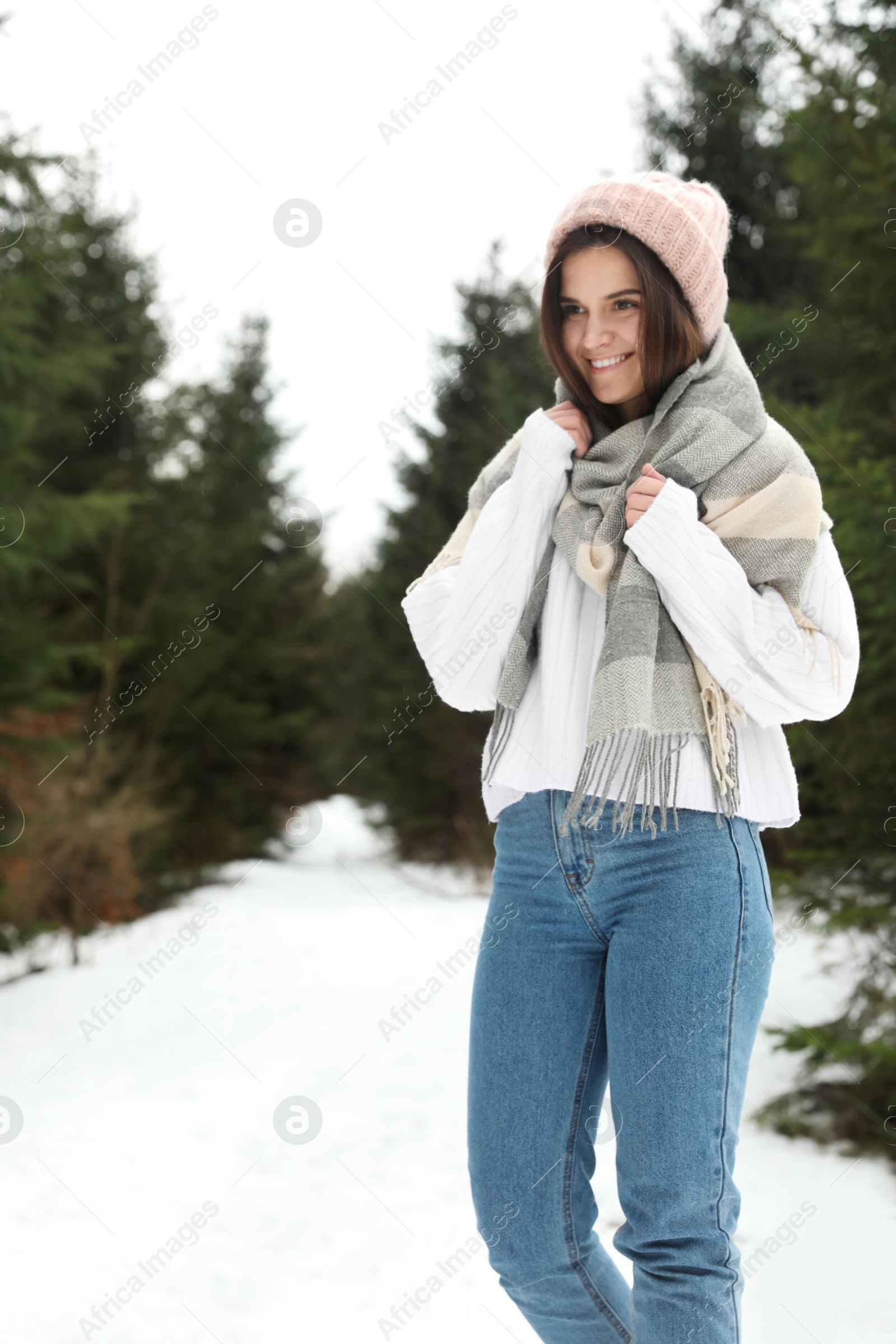 Photo of Young woman in snowy conifer forest. Winter vacation