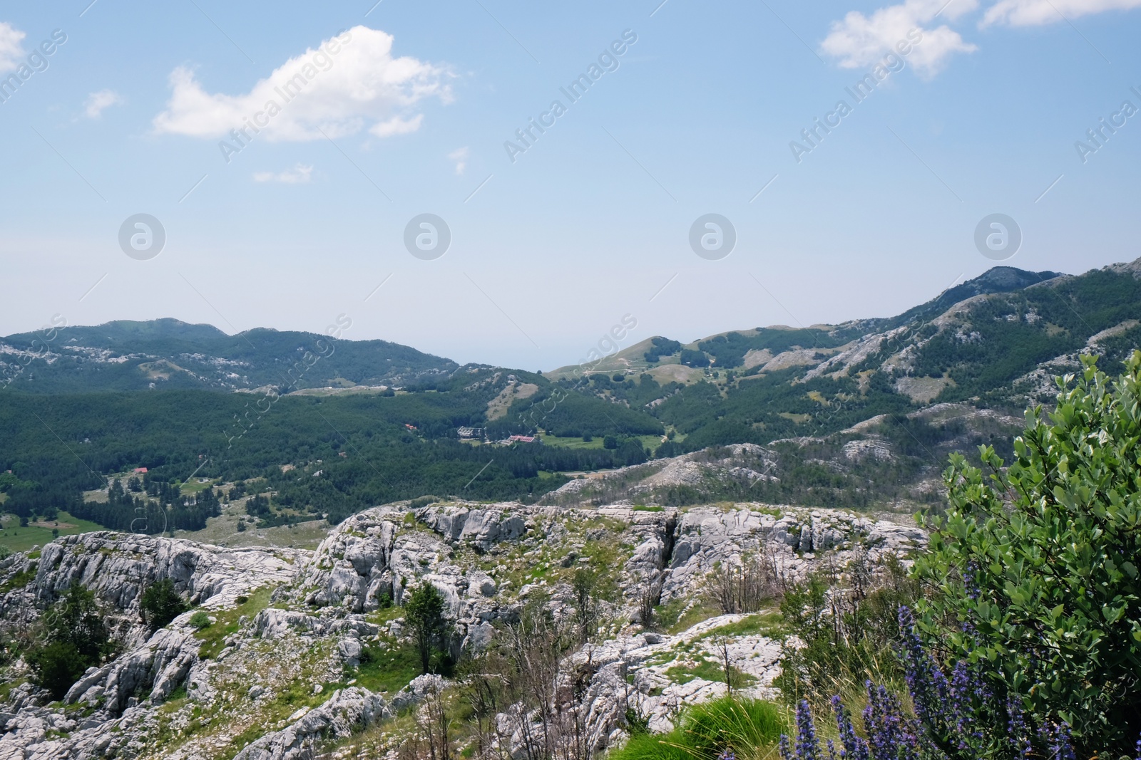 Photo of Picturesque view of beautiful mountains on sunny day