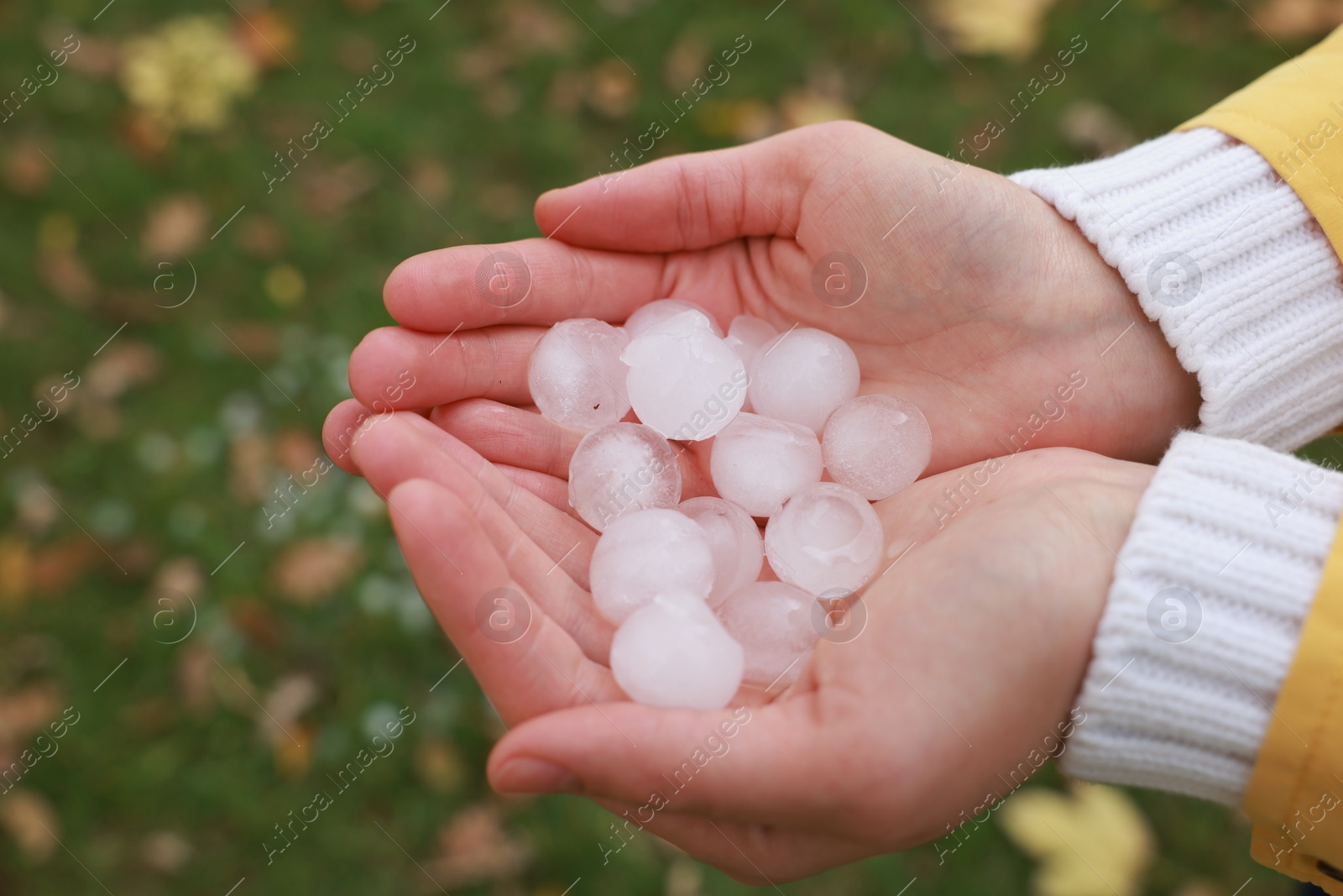 Photo of Woman holding hail grains after thunderstorm outdoors, closeup