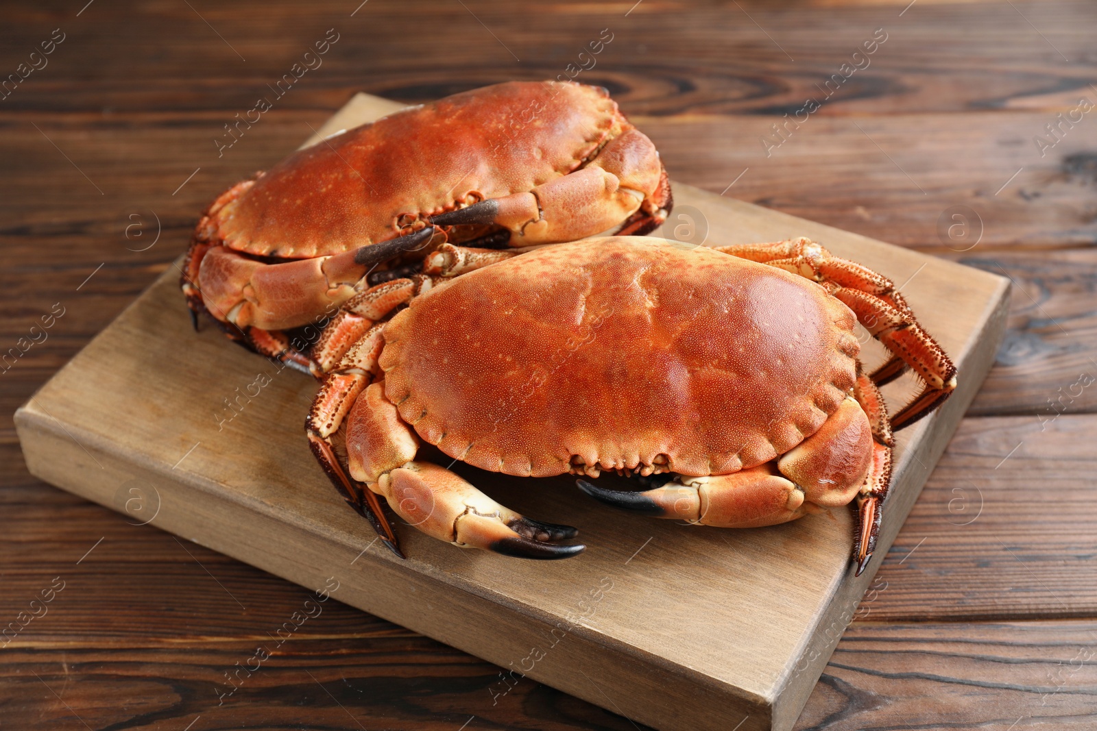 Photo of Two delicious boiled crabs on wooden table