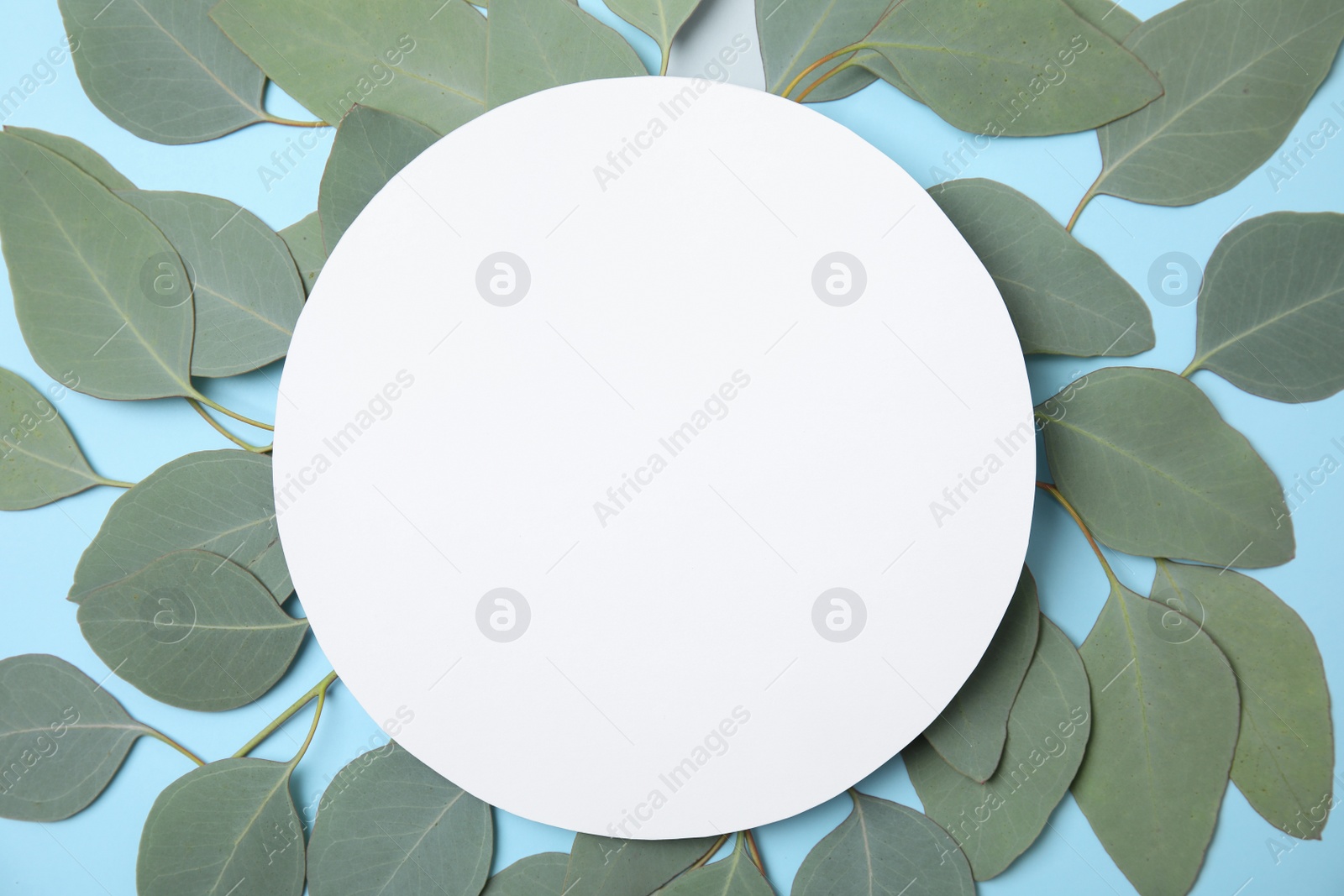 Photo of Fresh eucalyptus leaves and blank card with space for design on color background, top view