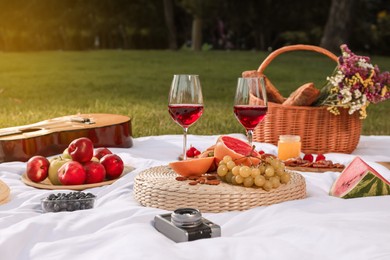 Delicious food and wine served for summer picnic on plaid in park