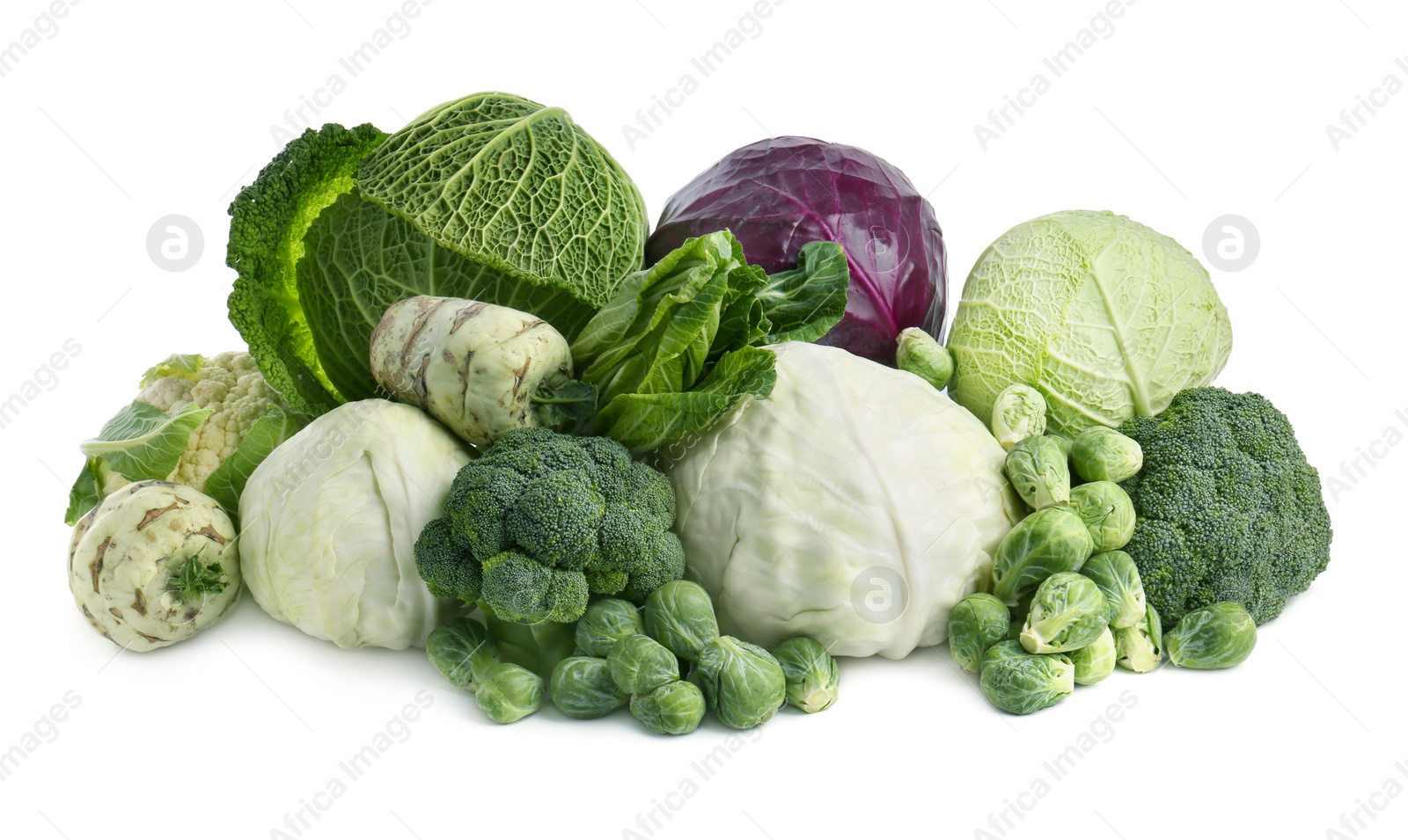 Photo of Many different fresh ripe cabbages on white background