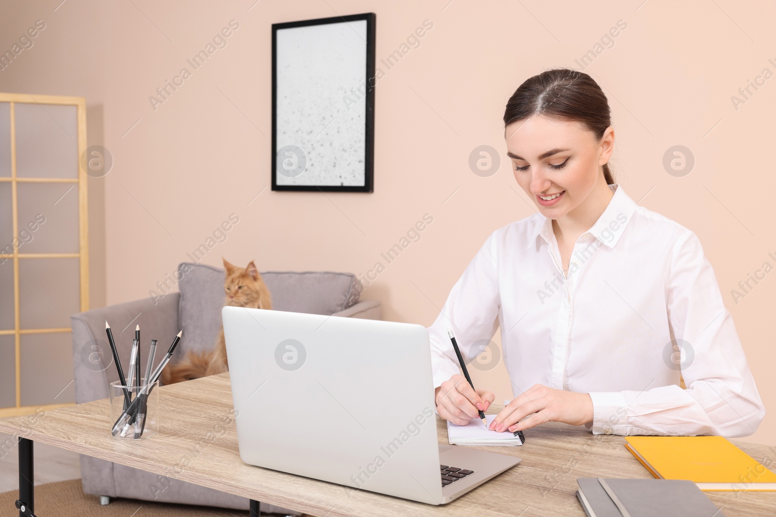 Photo of Woman working at desk and cat lying on armchair in room. Home office