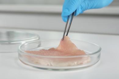 Photo of Scientist taking raw cultured meat out of Petri dish with tweezers at white table, closeup