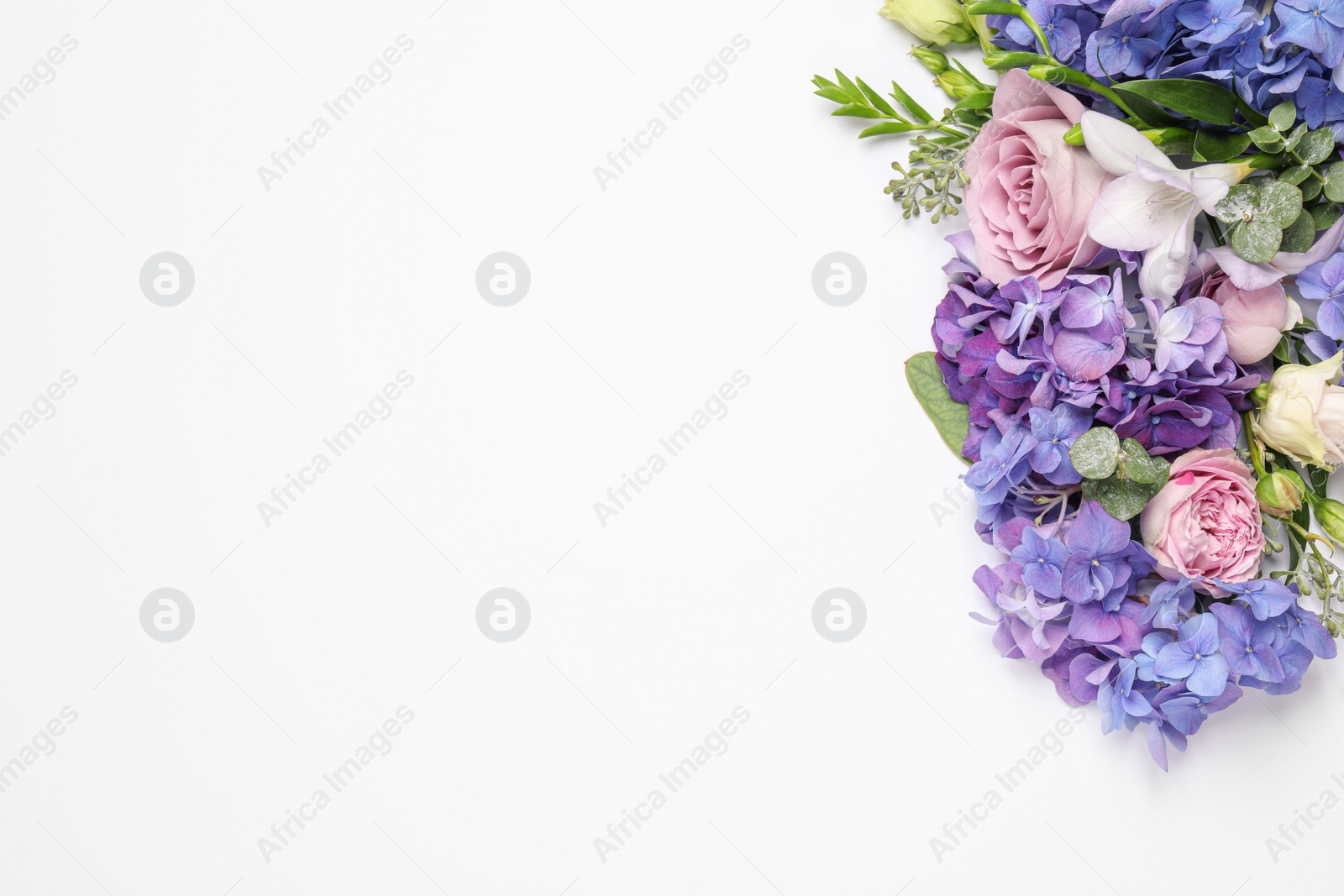 Photo of Beautiful composition with hortensia flowers on white background, flat lay. Space for text