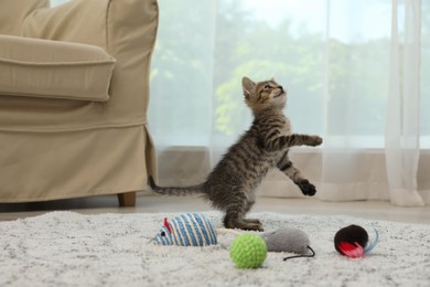 Photo of Cute little kitten playing with toys at home. Adorable pet