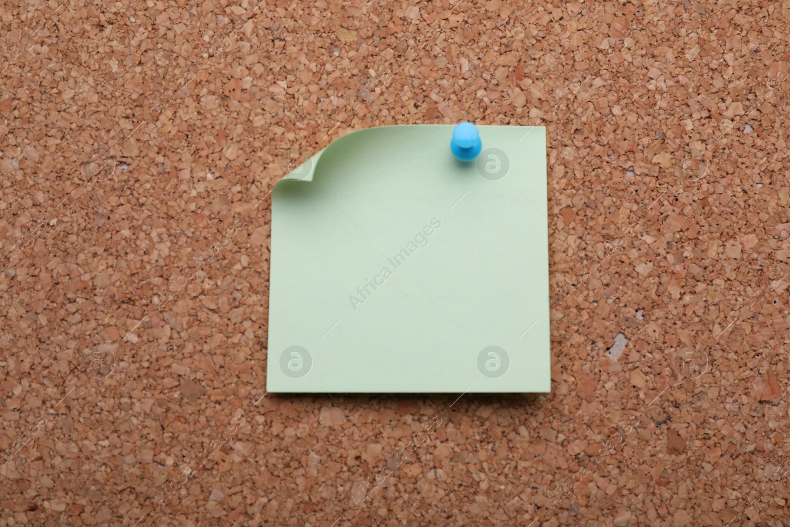 Photo of Blank paper note pinned to cork background, closeup
