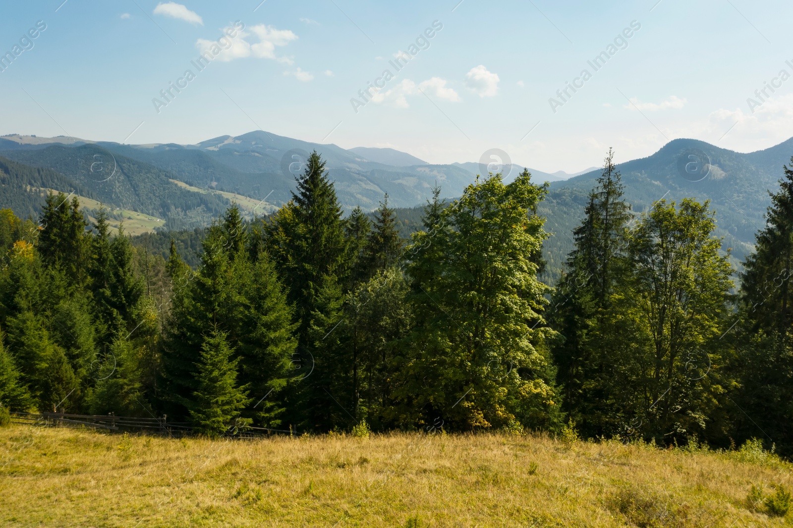 Image of Beautiful view of mountains covered with green trees on sunny day