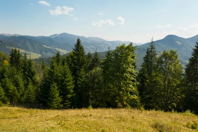 Beautiful view of mountains covered with green trees on sunny day