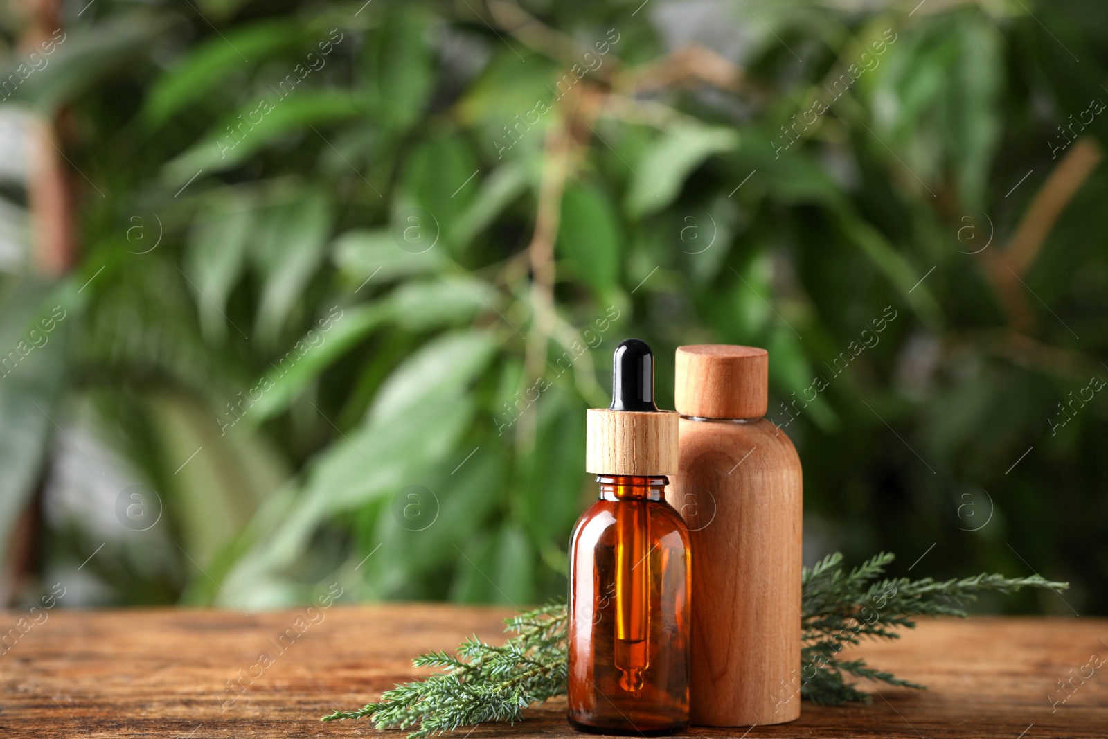 Photo of Bottles of juniper essential oil and twigs on wooden table against blurred background. Space for text