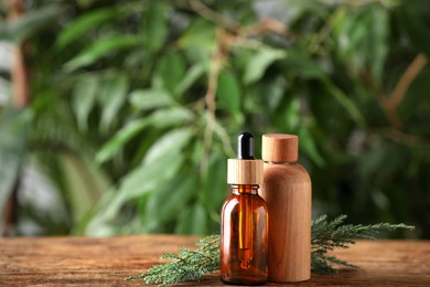 Bottles of juniper essential oil and twigs on wooden table against blurred background. Space for text