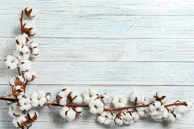 Flat lay composition with branches of cotton plant on white wooden background. Space for text