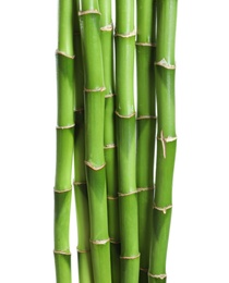 Photo of Beautiful green bamboo stems on white background