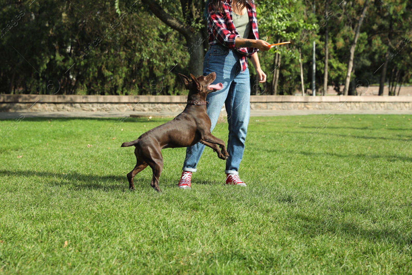 Photo of Woman and her dog playing with flying disk in park