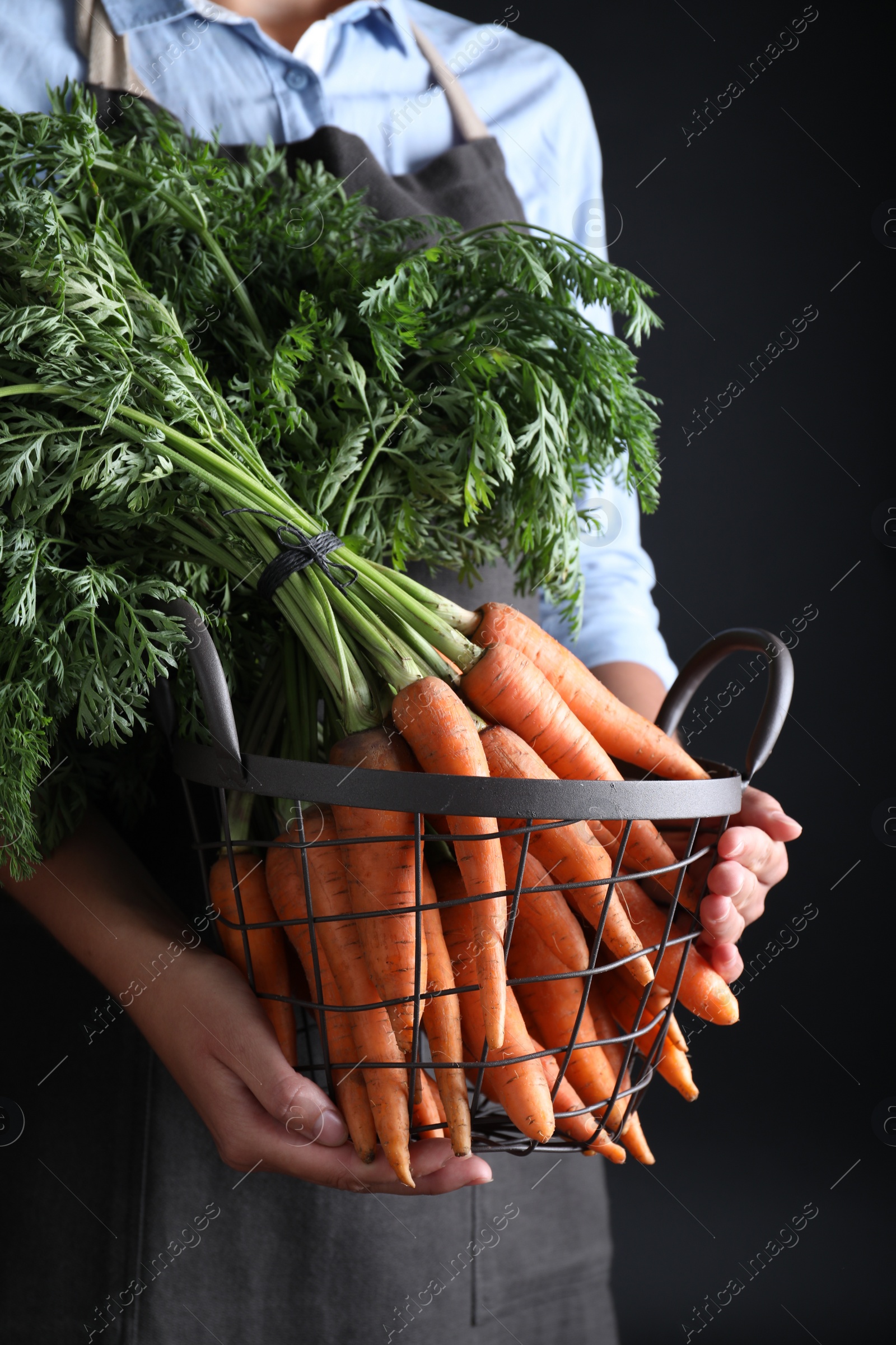 Photo of Woman holding basket with ripe carrots on black background, closeup