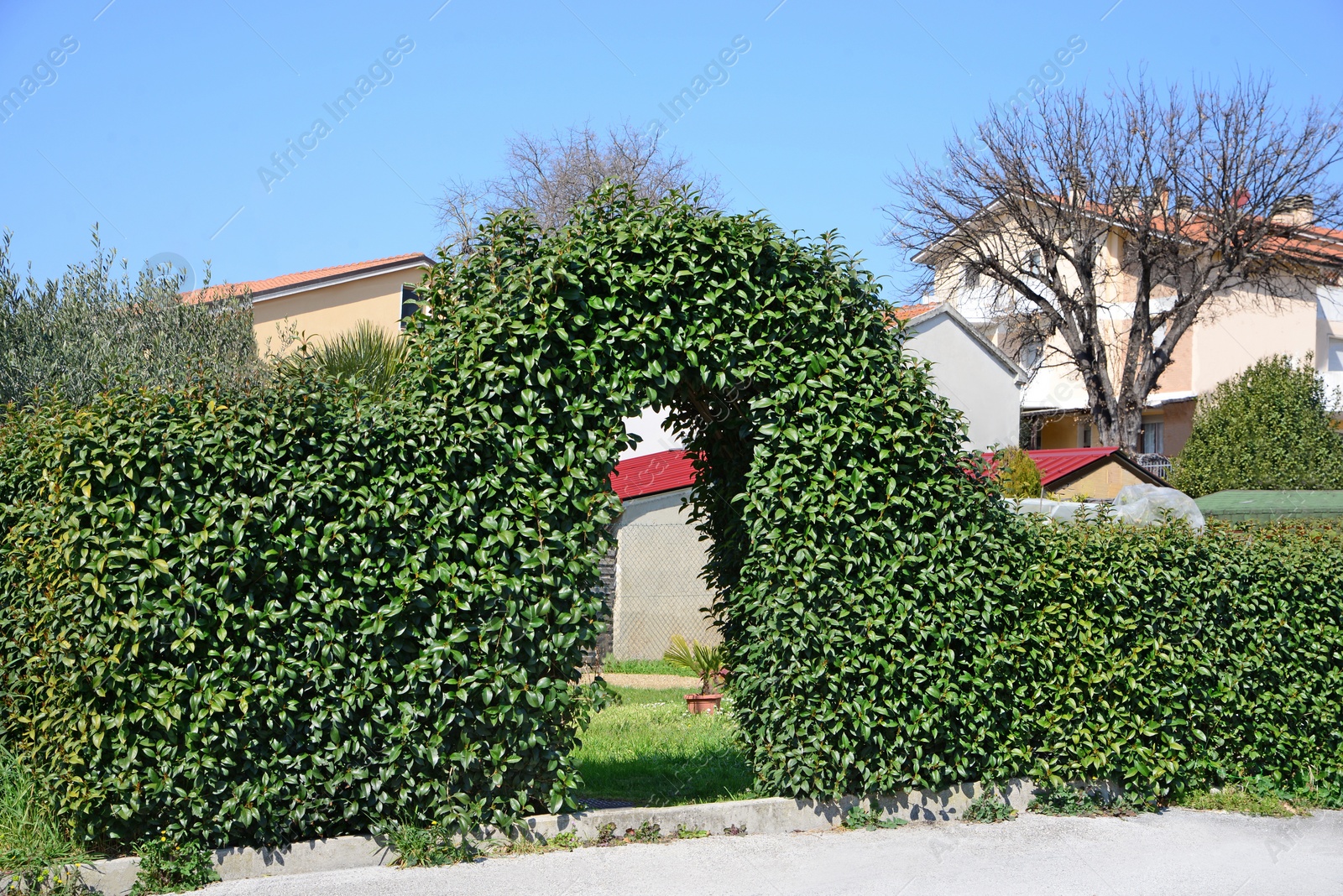 Photo of Beautiful green garden arch on city street