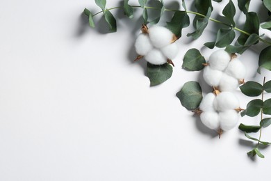 Photo of Fluffy cotton flowers and eucalyptus leaves on white background, flat lay. Space for text