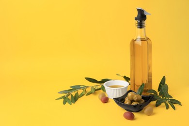 Photo of Oil, olives and tree twigs on yellow background, space for text