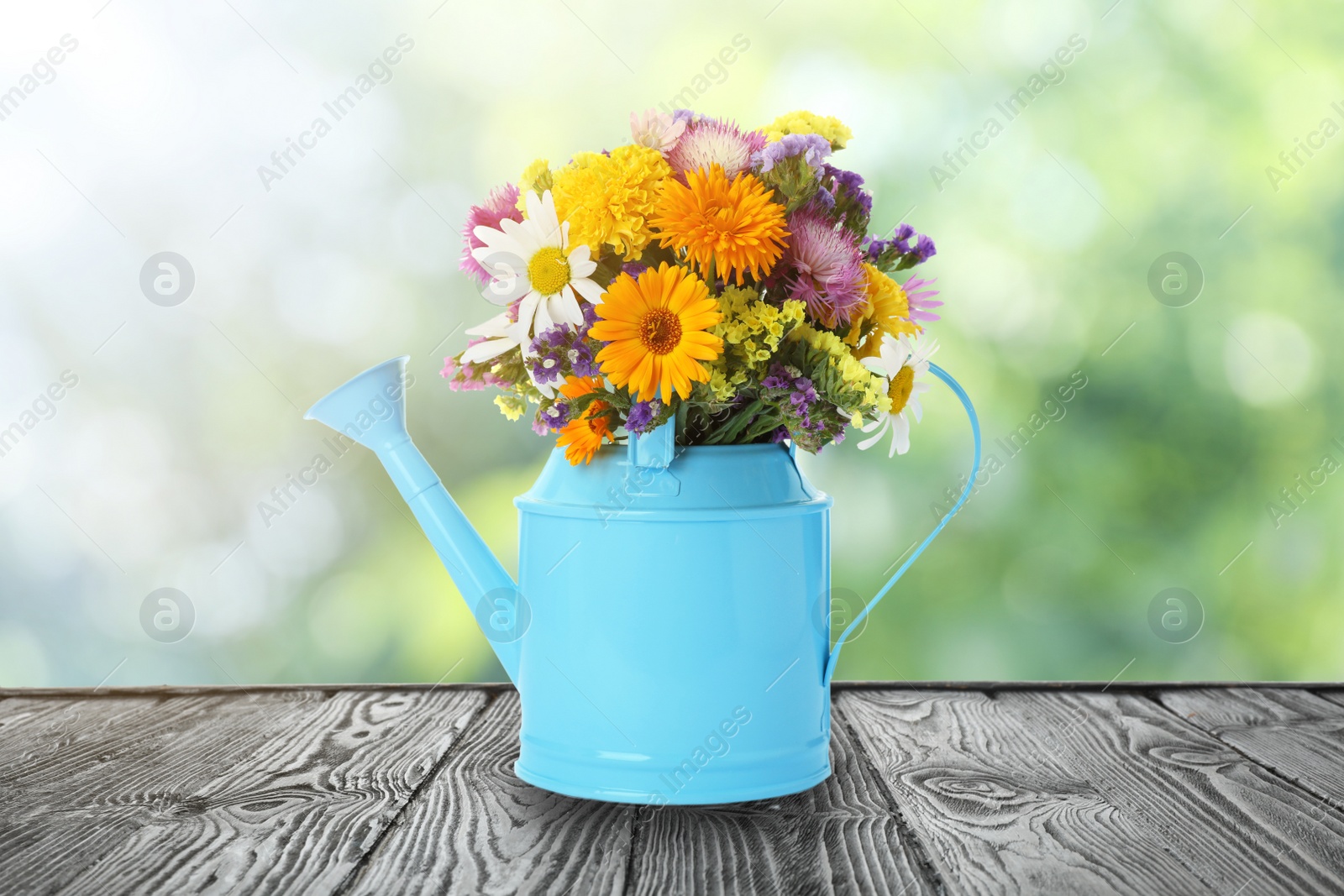 Image of Watering can with beautiful wild flowers on wooden table outdoors. Bokeh effect