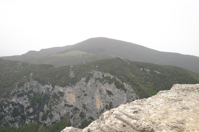 Picturesque view of green forest in mountains