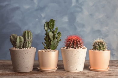 Beautiful cacti on table against color background