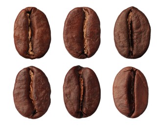 Image of Set with aromatic roasted coffee beans on white background