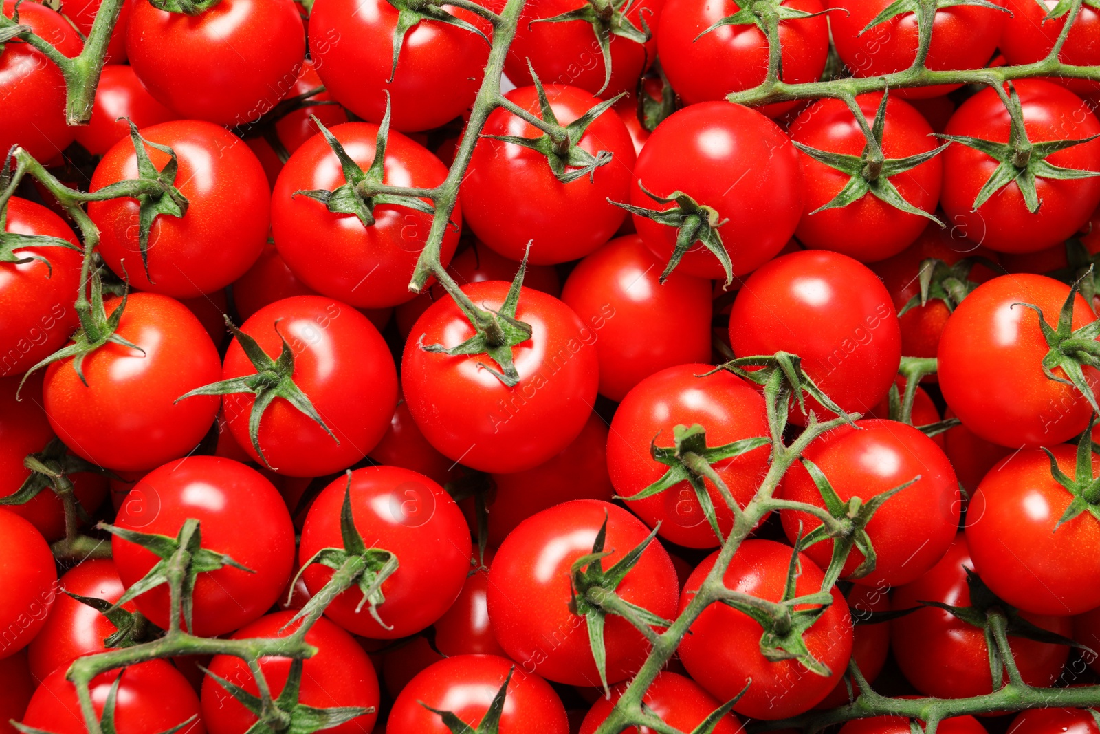Photo of Fresh organic cherry tomatoes as background, closeup