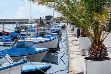 Beautiful view of city pier with moored boats and palm on sunny day