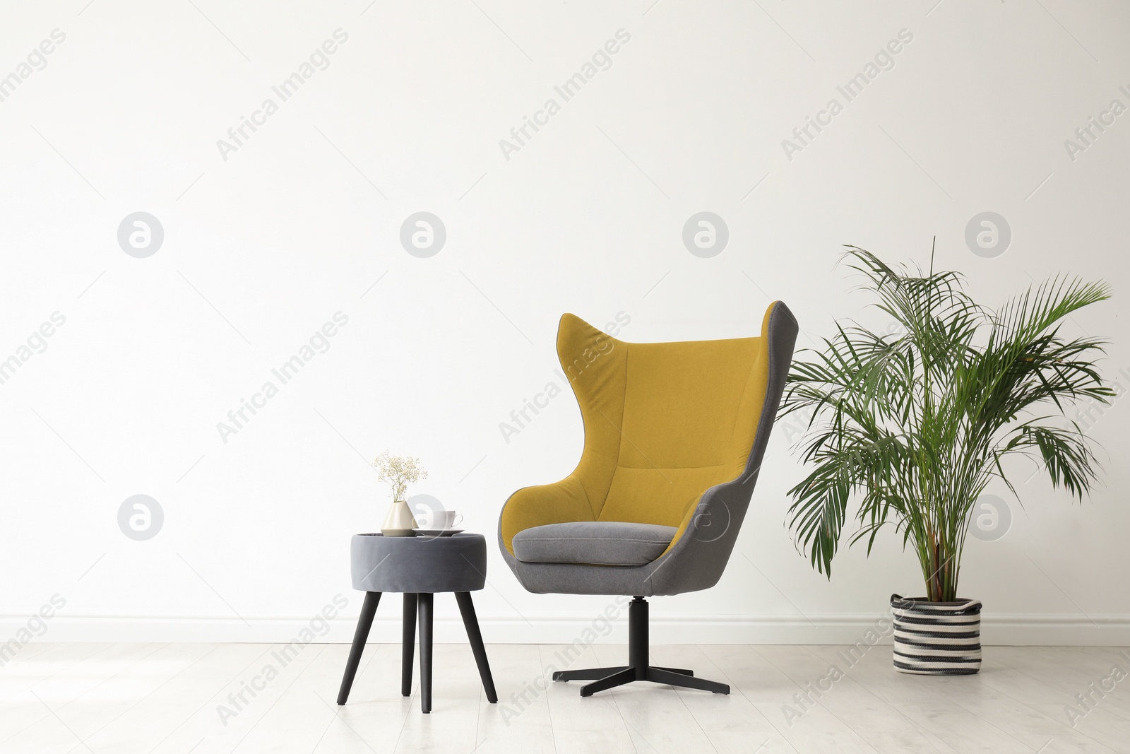 Photo of Stylish living room interior with comfortable armchair and houseplant near white wall. Space for text