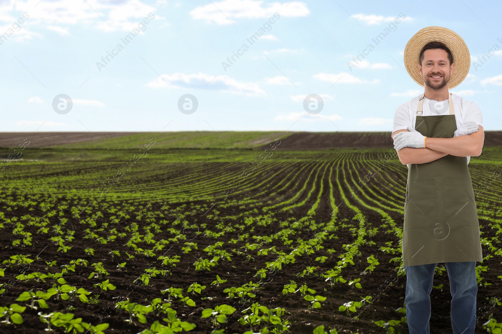 Image of Confident farmer with crossed arms in field. Harvesting season