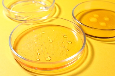 Photo of Petri dishes with liquids on orange background, closeup