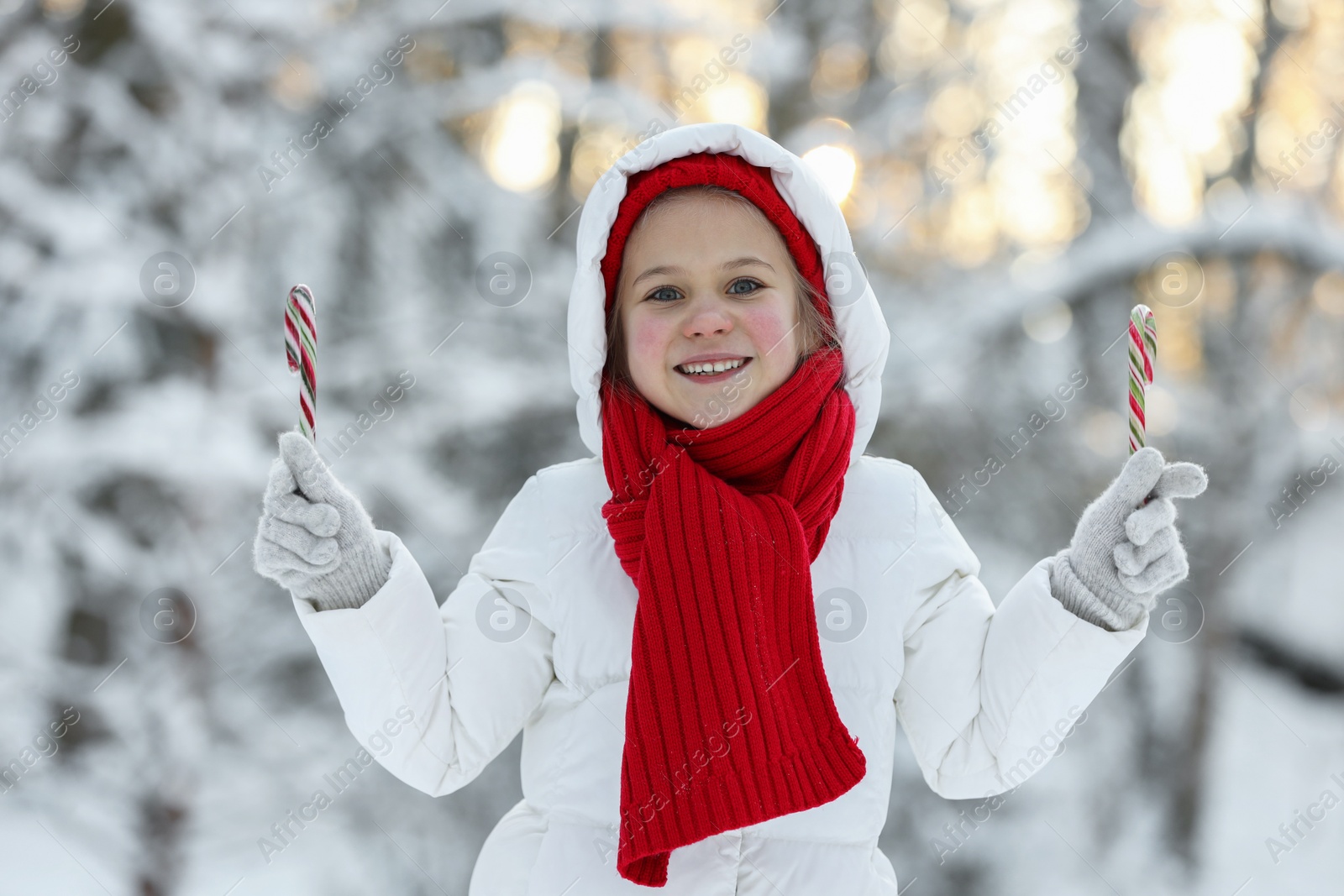 Photo of Cute little girl with candy canes in winter park