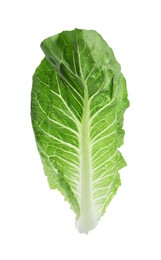 Fresh leaf of green romaine lettuce isolated on white