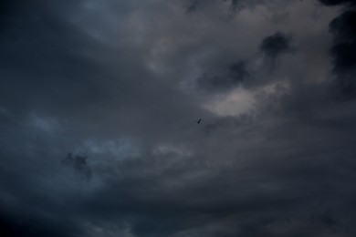 Photo of Picturesque view of bird in sky with heavy rainy clouds