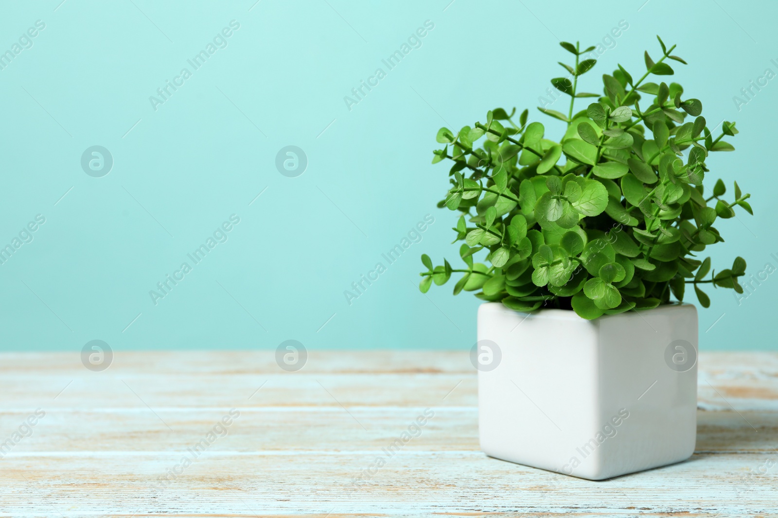 Photo of Artificial plant in white flower pot on light blue wooden table. Space for text