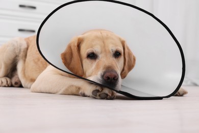 Photo of Sad Labrador Retriever with protective cone collar lying on floor in room