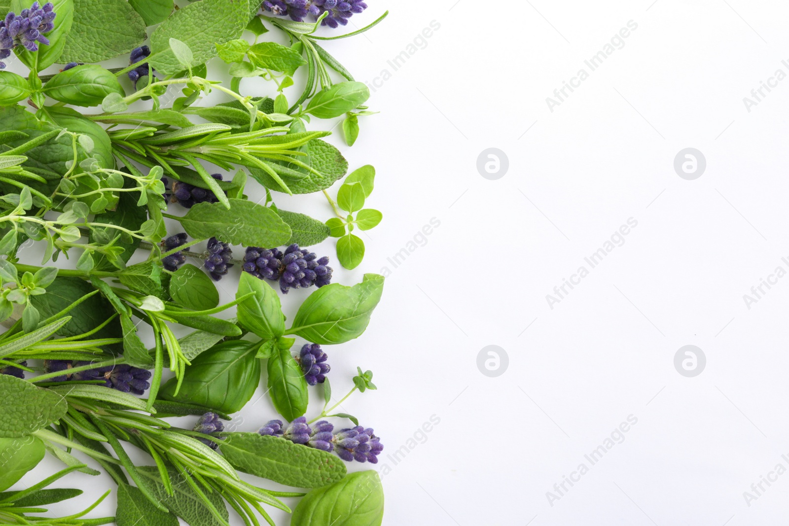 Photo of Many different aromatic herbs on white background, flat lay. Space for text