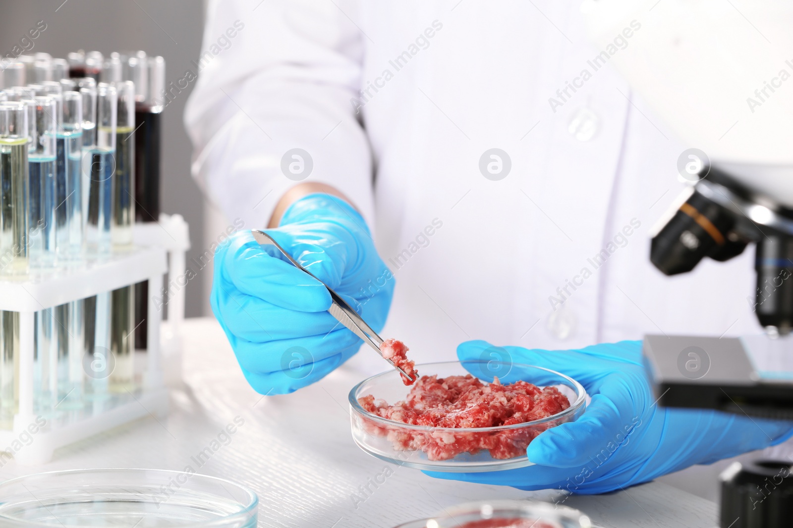 Photo of Scientist holding Petri dish with forcemeat over table in laboratory. Food quality control